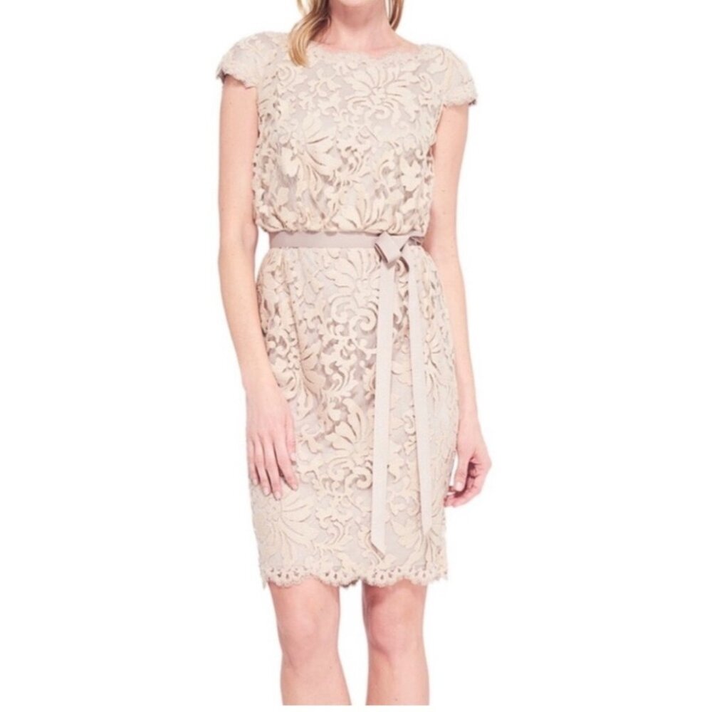Tadashi Shoji Greta Embroidered Lace Dress tan sz 14